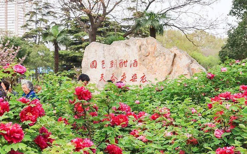 &#112;&#112;&#30005;&#23376;&#40;&#20013;&#22269;&#28216;&#41;&#23448;&#26041;&#22312;&#32447;&#24179;&#21488;