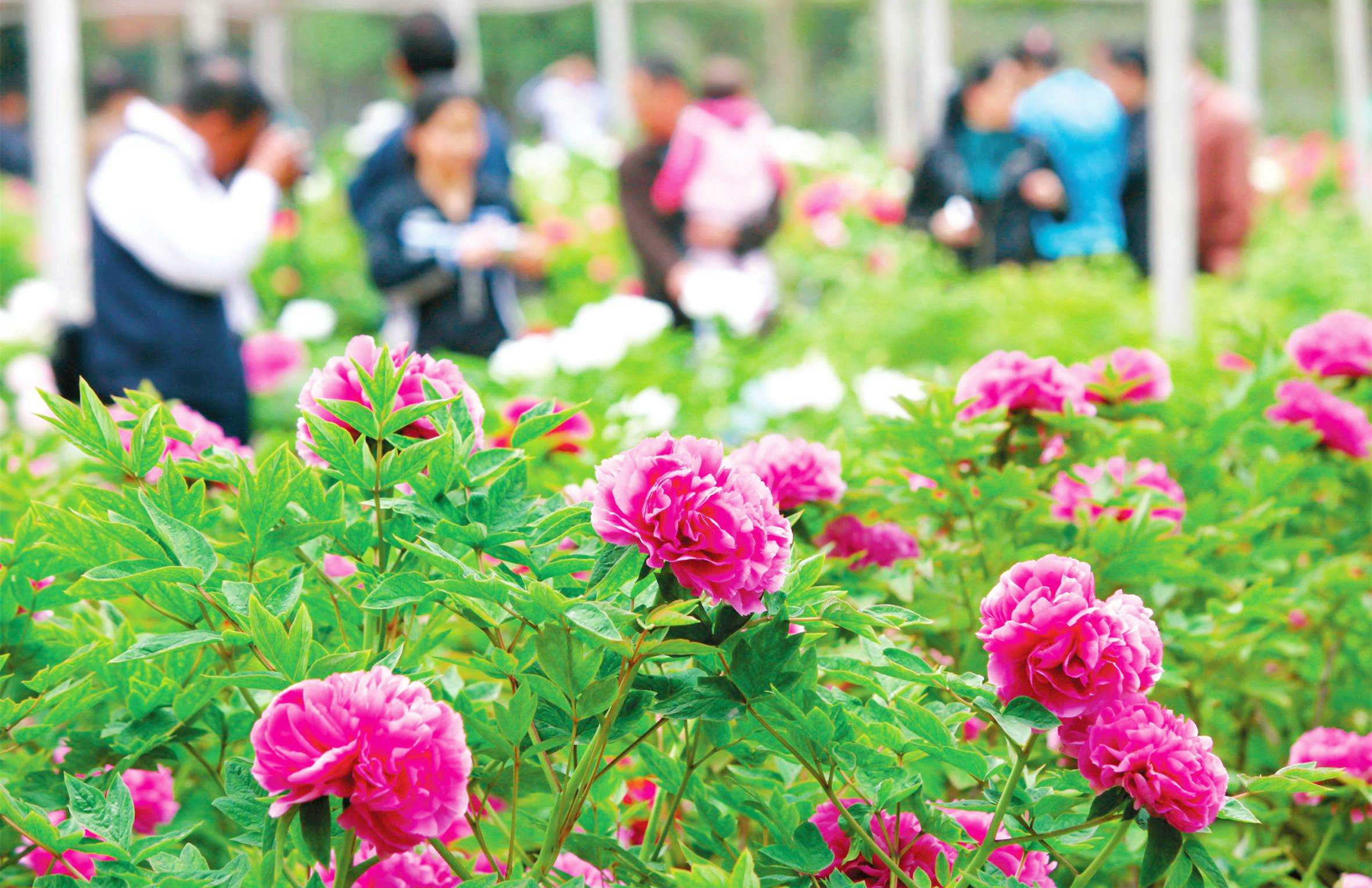 &#112;&#112;&#30005;&#23376;&#40;&#20013;&#22269;&#28216;&#41;&#23448;&#26041;&#22312;&#32447;&#24179;&#21488;
